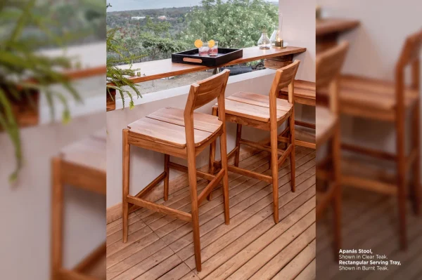 Apanas Counter Stool Teak - Image 5