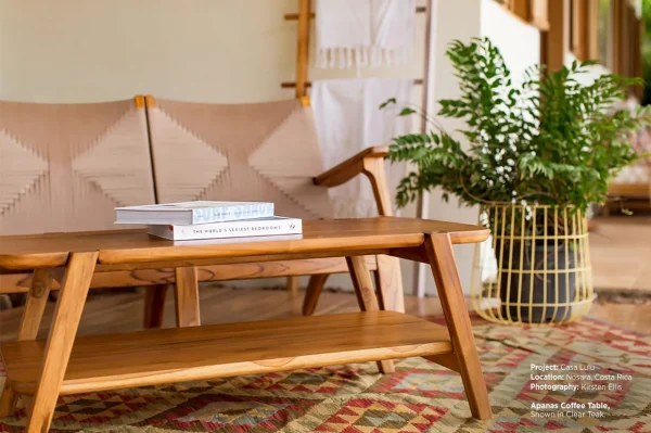 Apanas Coffee Table - Image 4