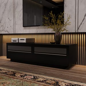 Modrest Carter Contemporary Black TV Stand