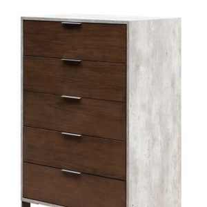 Nova Domus Conner Modern Dark Walnut & Faux Concrete Chest