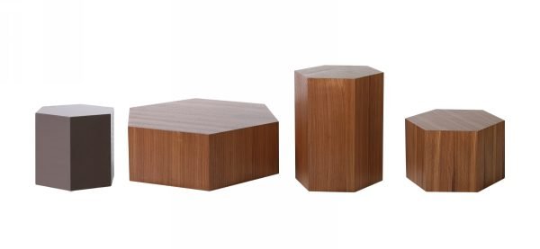 Modrest Newmont - Modern Small Walnut End Table - Image 3