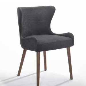 Modrest Jacob - Modern Black Dining Chair (Set of 2)