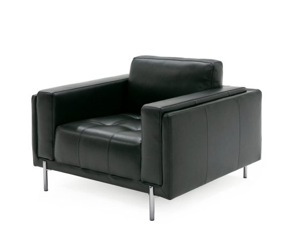 Divani Casa Schmidt - Modern Black Leather Chair