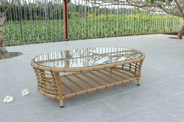 Renava Sandra - Outdoor Beige + Wicker Sofa Set - Image 5