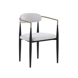 Modrest Buchtel - Mid-Century Modern Light Grey + Gold Arm + Black Dining Chair (Set of 2)