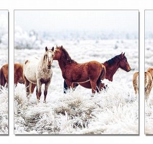 Modrest Mustangs 3-Panel Photo On Canvas