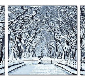 Modrest Winter Trees 3-Panel Photo