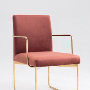 Modrest Thelen Modern Copper Fabric & Gold Dining Chair