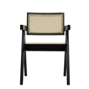 Modrest Aurora Modern Rattan and Wenge  Dining Arm Chair