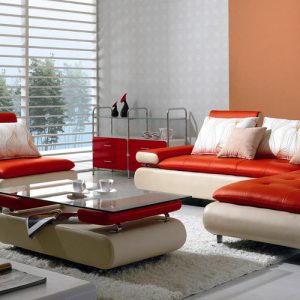B 205 Modern Red and White Leather Sectional Sofa Set