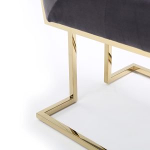 Modrest Legend Modern Grey Fabric & Gold Dining Chair (Set of 2)