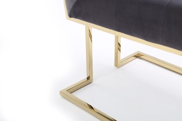 Modrest Legend Modern Grey Fabric & Gold Dining Chair (Set of 2)