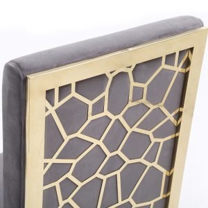 Modrest Reba Modern Grey Velvet & Gold Dining Chair (Set of 2)