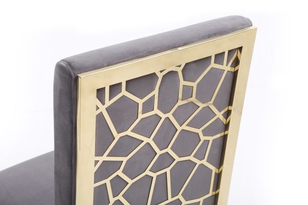 Modrest Reba Modern Grey Velvet & Gold Dining Chair (Set of 2)