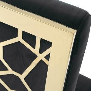 Modrest Reba Modern Black Velvet & Gold Dining Chair (Set of 2)