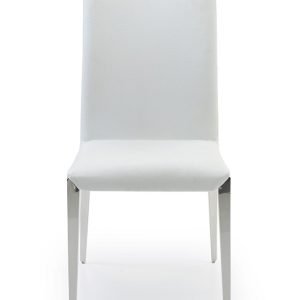 Taryn - Modern White Dining Chair (Set of 2)