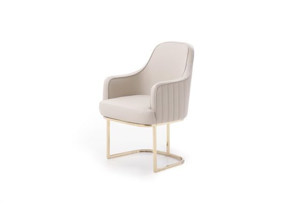 Modrest Tyler - Modern Grey + Gold Dining Chair - Image 2