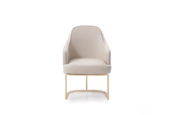 Modrest Tyler - Modern Grey + Gold Dining Chair - Image 5