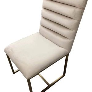 Modrest Barker - Modern Beige & Brush Gold Dining Chair (Set of 2)