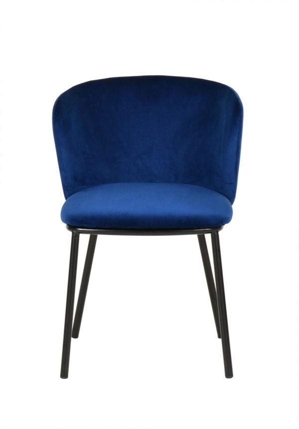 Modrest Bessie - Modern Blue Velvet Dining Chair (Set of 2) - Image 2