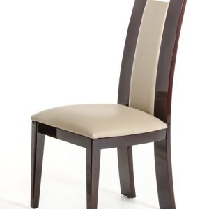 Douglas - Modern Ebony and Taupe Dining Chair (Set of 2)