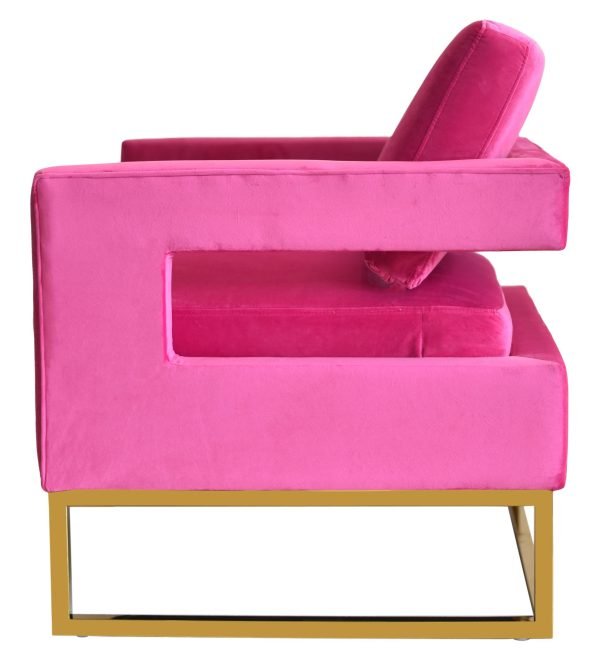 Modrest Edna - Pink Velvet + Gold Accent Chair - Image 5