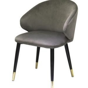 Modrest Elon - Modern Dark Grey Velvet Dining Chair (Set of 2)