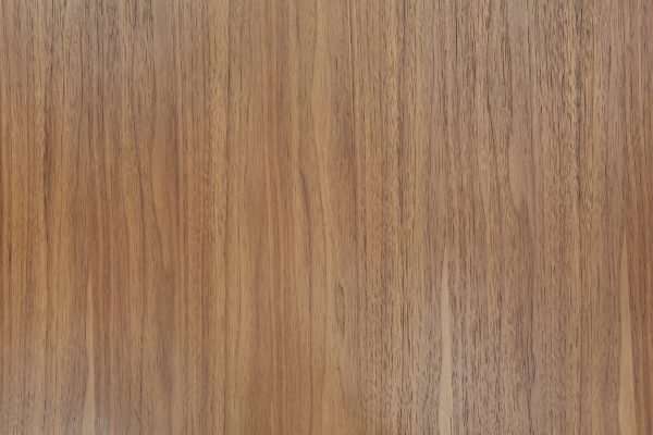 Modrest Encino Modern Walnut & Glass Dining Table