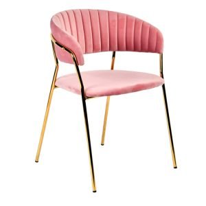 Modrest Brandy Modern Pink Fabric Dining Chair (Set of 2)