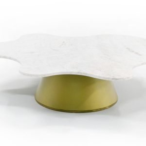 Modrest Gabbro Low - Glam White Marble and Gold Coffee Table
