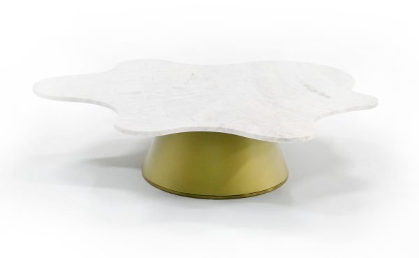 Modrest Gabbro Low - Glam White Marble and Gold Coffee Table