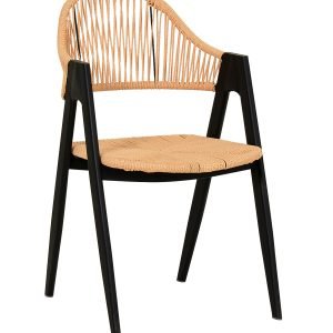 Modrest Gayle - Modern Rattan Dining Chair Set of 2