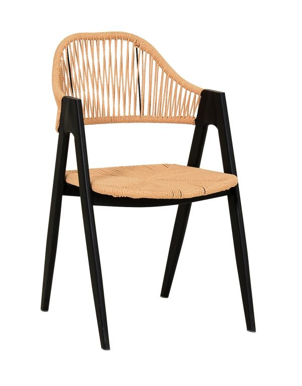 Modrest Gayle - Modern Rattan Dining Chair Set of 2
