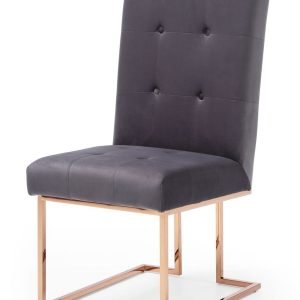 Modrest Legend - Modern Grey & Rosegold Dining Chair (Set of 2)