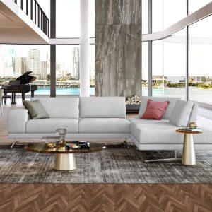 Coronelli Collezioni Mood - Contemporary Light Grey Leather Right Facing Sectional Sofa