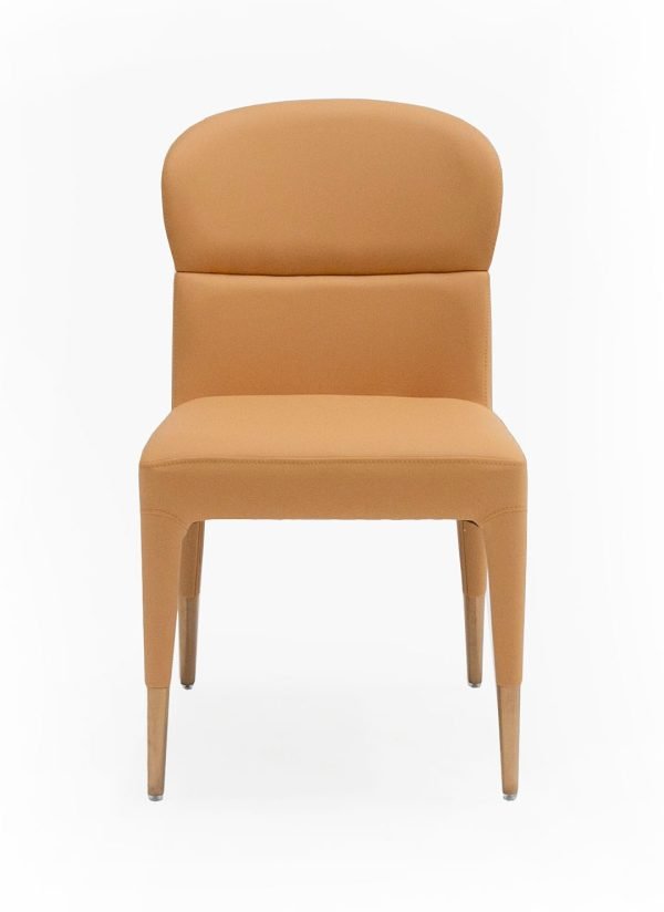 Modrest Ogden - Modern Peach & Rosegold Dining Chair (Set of 2) - Image 2