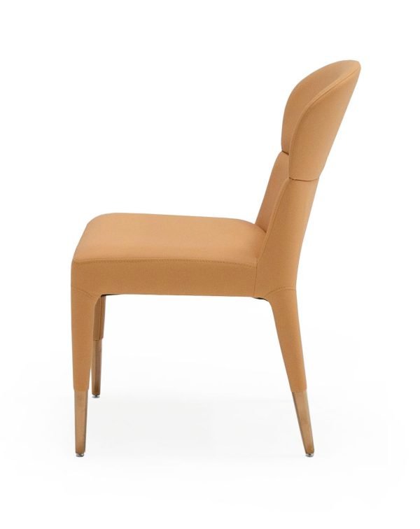 Modrest Ogden - Modern Peach & Rosegold Dining Chair (Set of 2) - Image 3