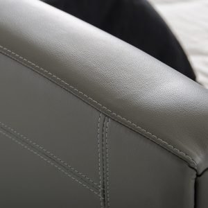 Modrest Ramona Modern Grey Leather Bed