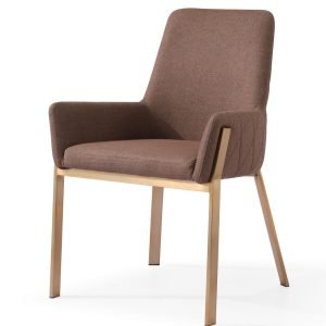 Modrest Robin - Modern Brown & Brass Dining Chair