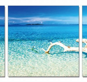 Modrest Driftwood 3-Panel Photo