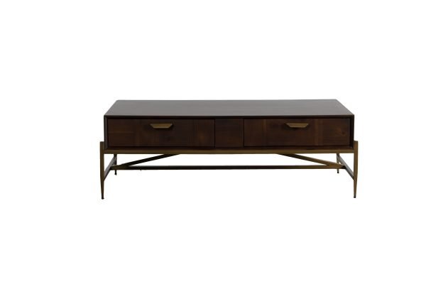 Modrest Shane - Modern Acacia & Brass Coffee Table - Image 2