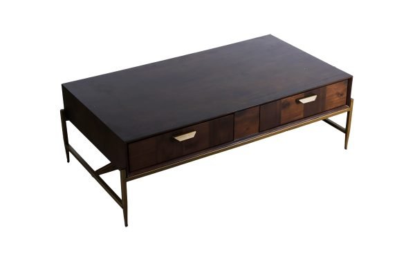 Modrest Shane - Modern Acacia & Brass Coffee Table - Image 3