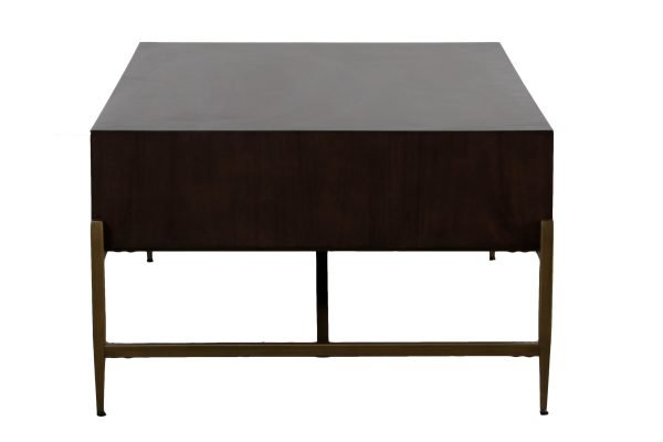 Modrest Shane - Modern Acacia & Brass Coffee Table - Image 5